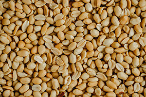Peanut Protein